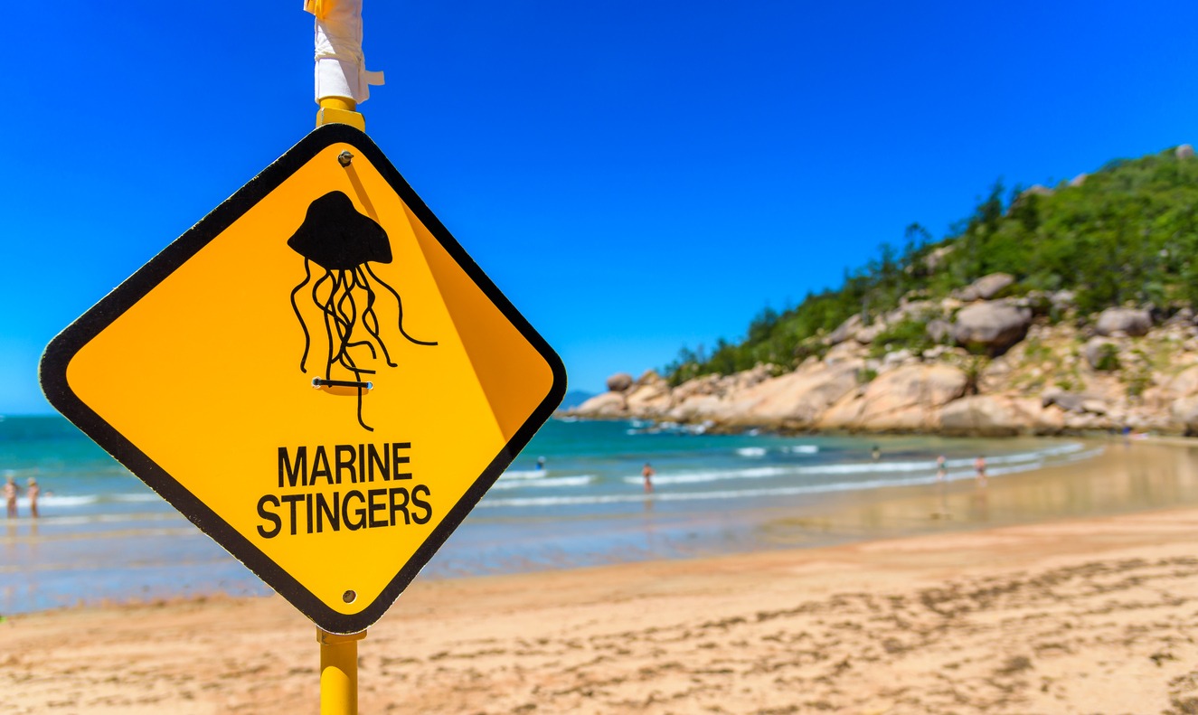 Warning sign about Irukandji jellyfish in Queensland, Australia
